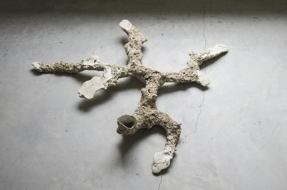 CiupinAra 2014 
Plaster, Soil

