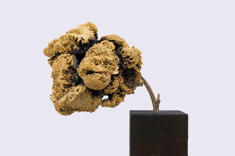 Sunflower#is 2020
Ottone e oro
14x19x17 cm.
CP