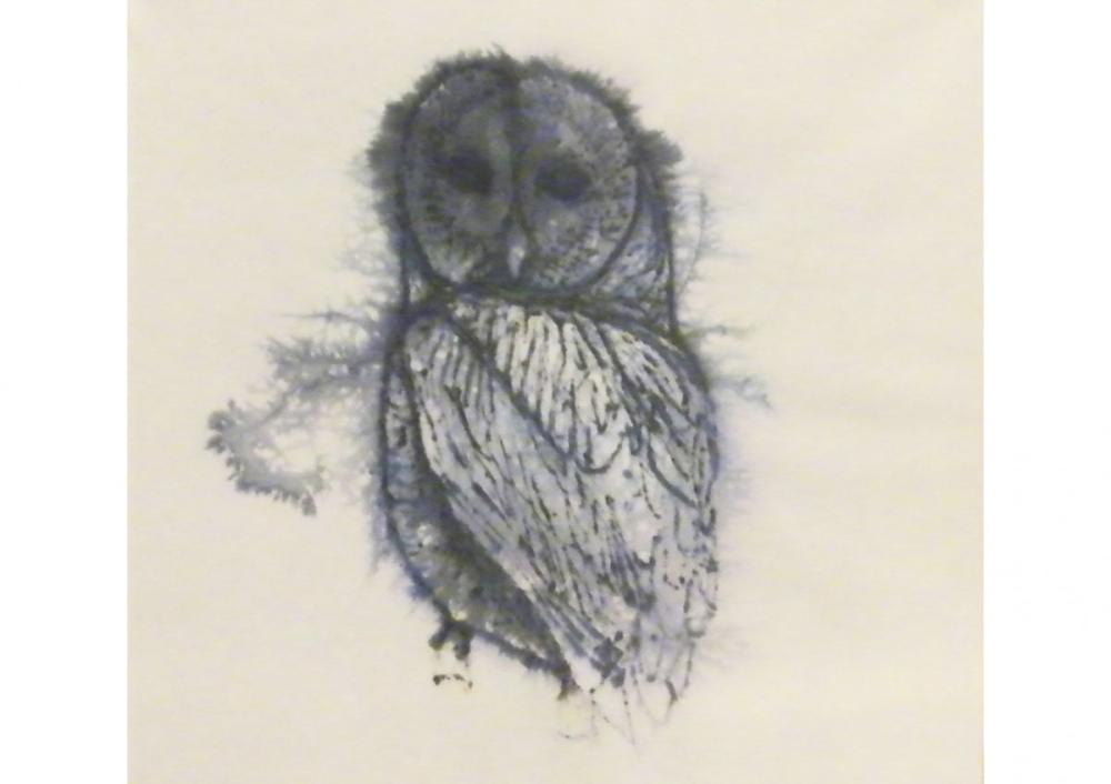 Allocco 2009 
Inchiostro su carta, 40 x 40 cm.