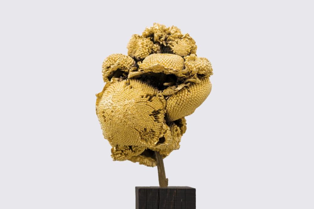 Sunflower#and 2020 
Ottone e oro
24x20x18 cm.
