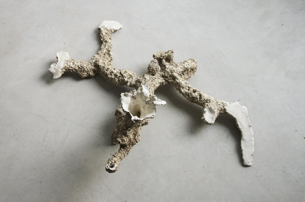 CiupinAra 2014 
Plaster, Soil
