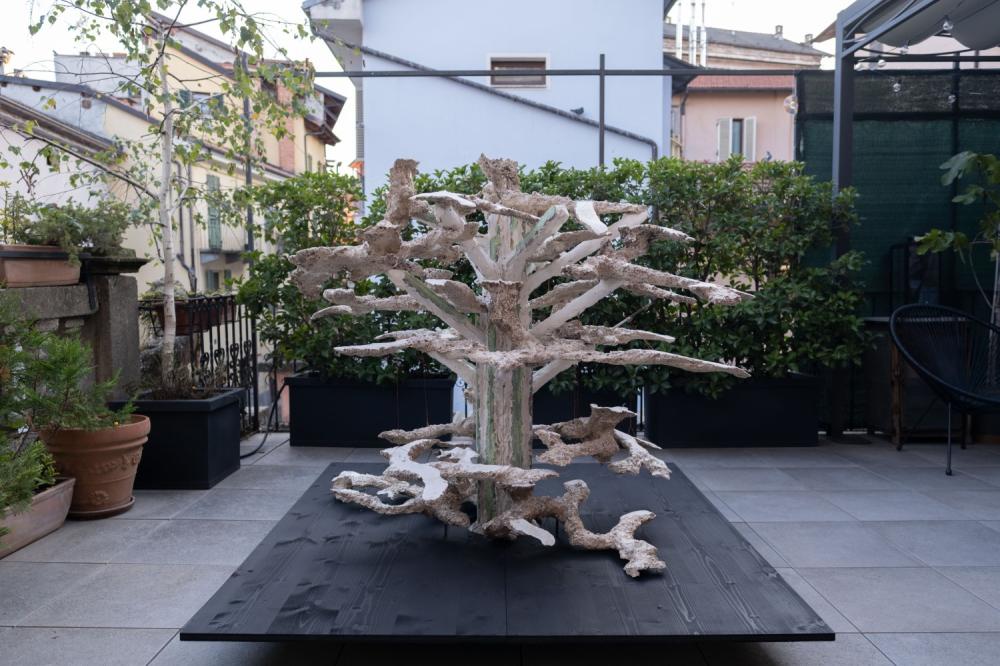 Living Room 2023, Associazione Artur, Cuneo