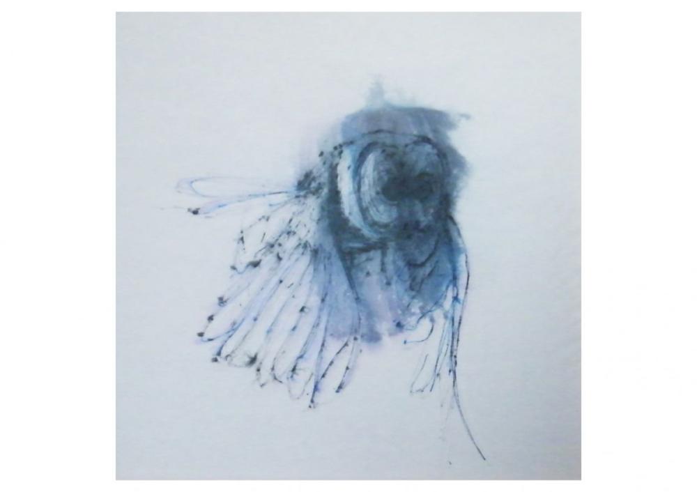 Owl 2009
Inchiostro su carta, 35 x 35 cm.