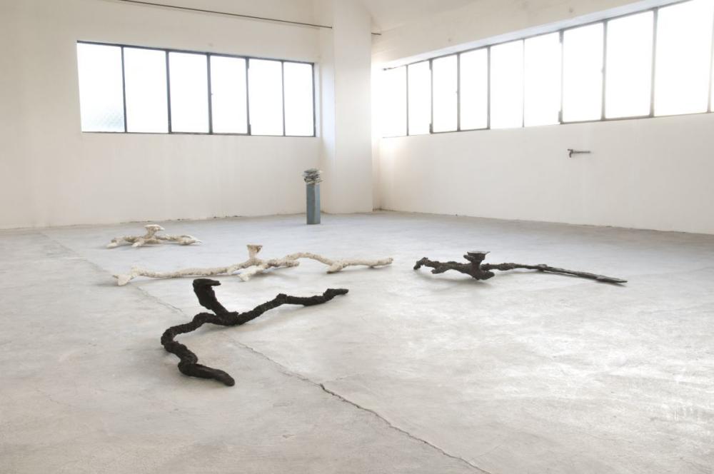 CiupinAra in epoxy, bronze and plaster presented in the exhibition “Everything you give to gradually receive nothing” 2015, Nove (VI)