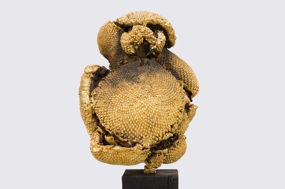 Sunflower#Flowers 2021
ottone e oro
30x21x20cm. 