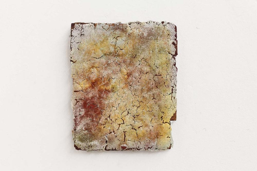 Autumn#5 2015
50 x 40 x 2 cm.
CP