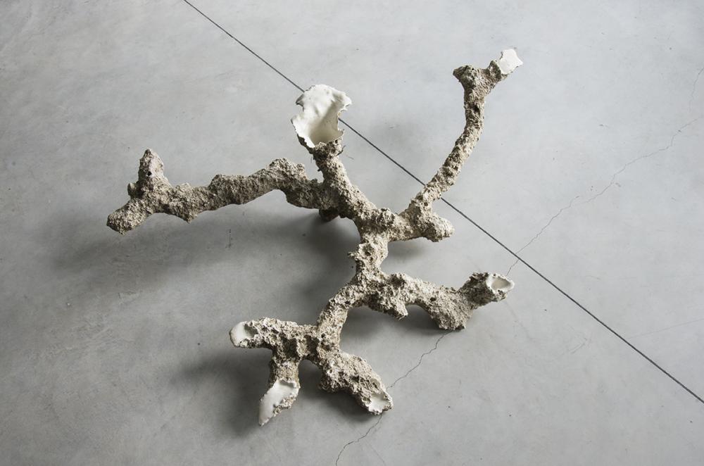 CiupinAra 2014 
Plaster, Soil
