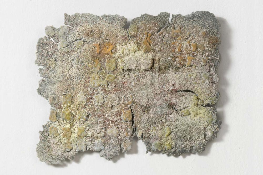 Autumn#4 2015
40 x 47 x 2 cm.
CP