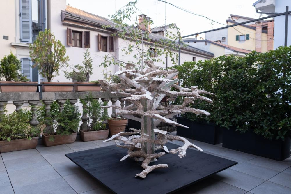 Vista della mostra, Talpidae, Living Room 2023, Associazione Artur, Cuneo