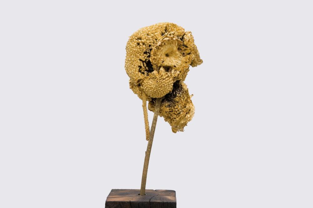 Sunflower#are 2021
ottone e oro
16x11x11cm. 