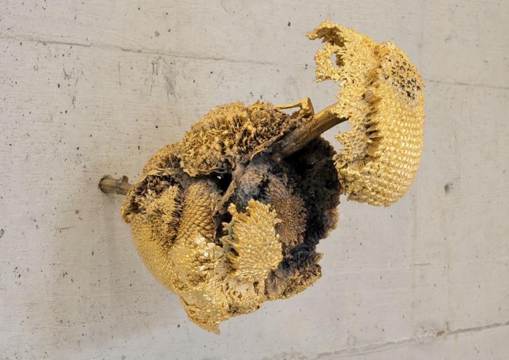 Sunflower#The 2020 
Ottone e oro
29x19x16 cm.
CP