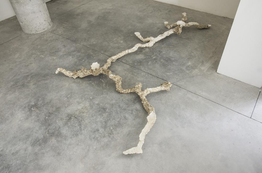 CiupinAra 2014 
Plaster, Soil
