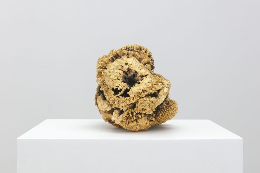 Sunflower#Sun 2020 
Ottone e oro
15x21x12 cm.
CP