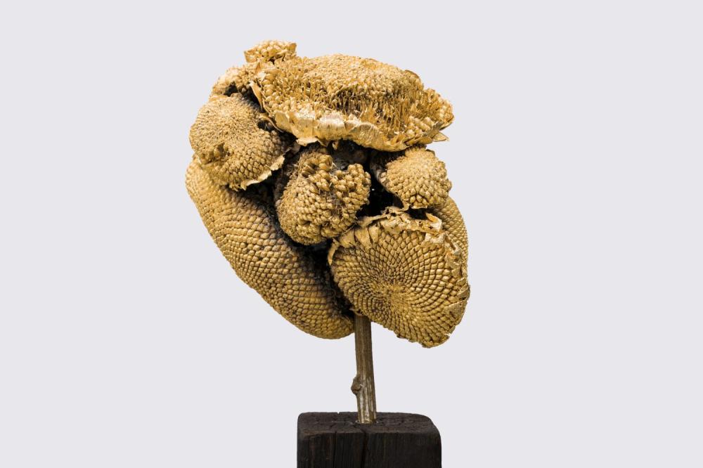 Sunflower#around 2021
ottone e oro
20x24x14cm. 