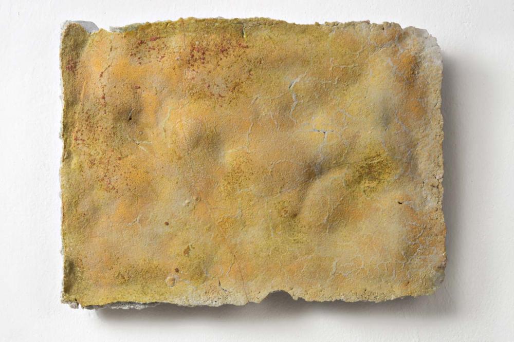 Autumn#14 2015
44 x 56 x 8 cm.
CP