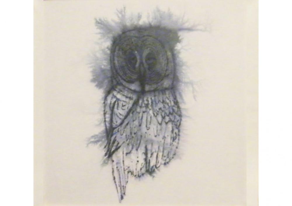 Allocco 2009 
Inchiostro su carta, 40 x 40 cm.