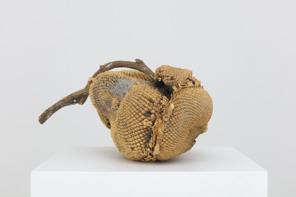 Sunflower#a 2020 
Ottone e oro
18x26x17 cm.
CP