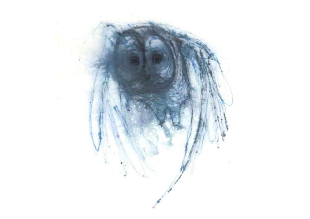 Allocco 2009
Inchiostro su carta 40 x 40 cm.